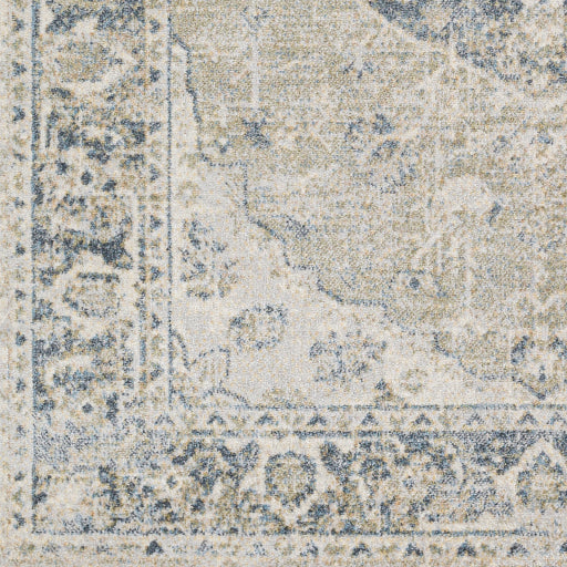 Surya Lillian LLL-2311 Gray Traditional  Rug