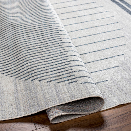Surya Lillian LLL-2315 Oatmeal Modern  Rug