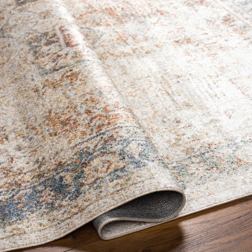Surya Lillian LLL-2317 Oatmeal Traditional  Rug