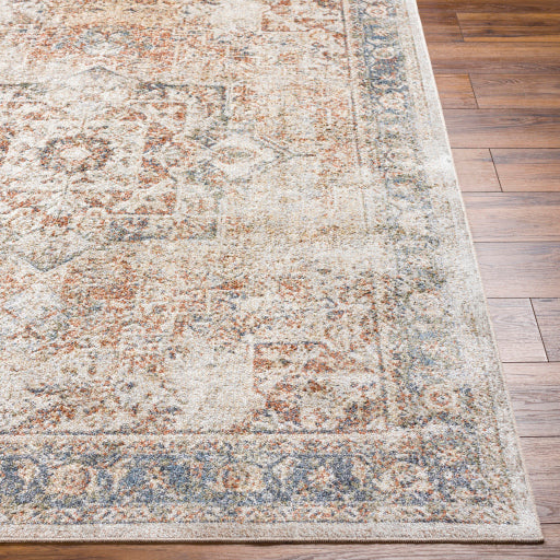 Surya Lillian LLL-2317 Oatmeal Traditional  Rug