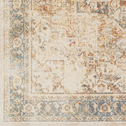 Surya Lillian LLL-2317 Oatmeal Traditional  Rug