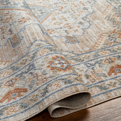 Surya Lillian LLL-2318 Oatmeal Traditional  Rug