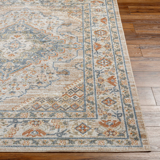 Surya Lillian LLL-2318 Oatmeal Traditional  Rug