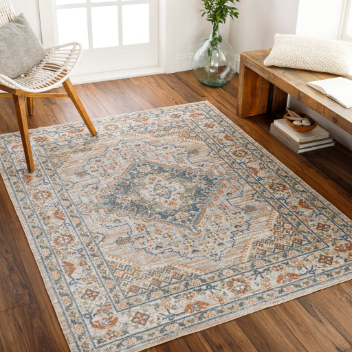 Surya Lillian LLL-2318 Oatmeal Traditional  Rug