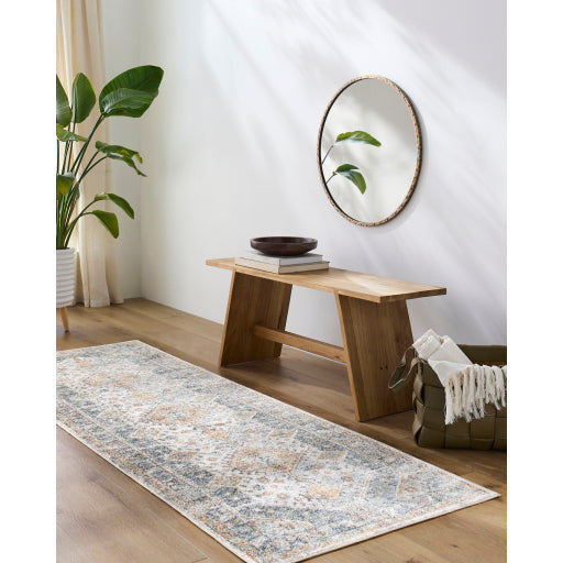 Surya Lillian LLL-2319 Oatmeal Traditional  Rug