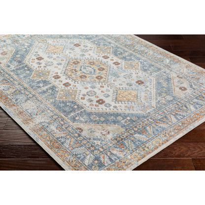 Surya Lillian LLL-2319 Oatmeal Traditional  Rug