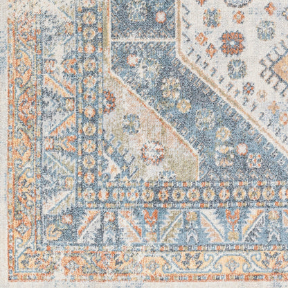 Surya Lillian LLL-2319 Oatmeal Traditional  Rug