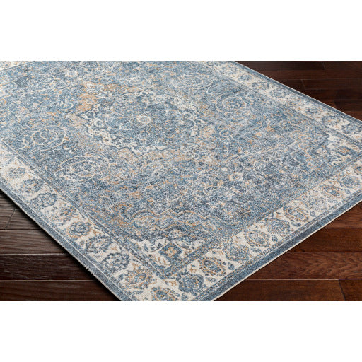 Surya Lillian LLL-2320 Oatmeal Traditional  Rug