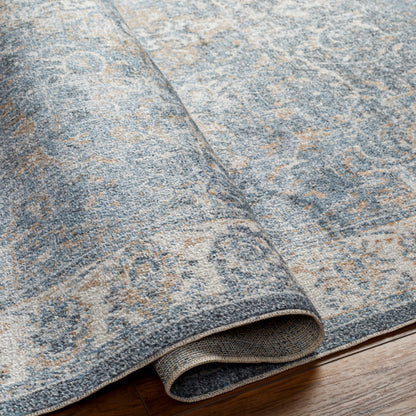 Surya Lillian LLL-2320 Oatmeal Traditional  Rug