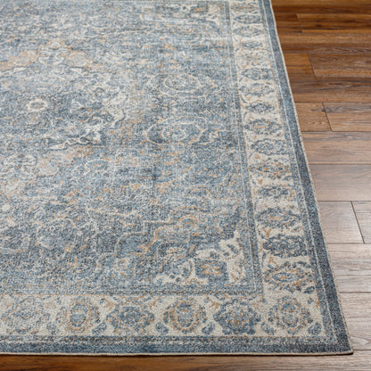 Surya Lillian LLL-2320 Oatmeal Traditional  Rug