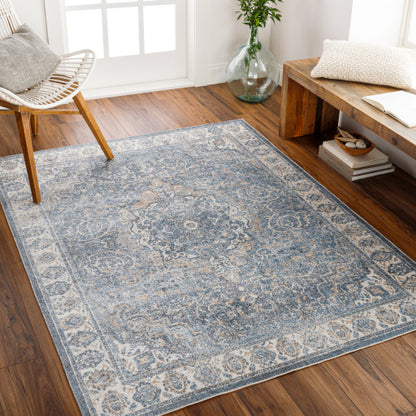 Surya Lillian LLL-2320 Oatmeal Traditional  Rug