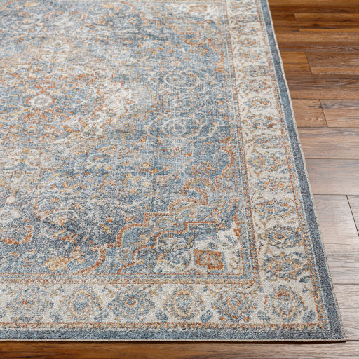 Surya Lillian LLL-2321 Oatmeal Traditional  Rug