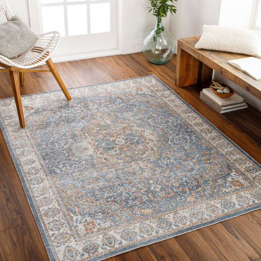Surya Lillian LLL-2321 Oatmeal Traditional  Rug