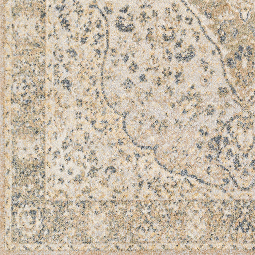 Surya Lillian LLL-2322 Gray Traditional  Rug