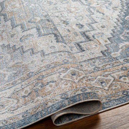 Surya Lillian LLL-2323 Oatmeal Traditional  Rug