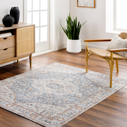 Surya Lillian LLL-2325 Oatmeal Traditional  Rug