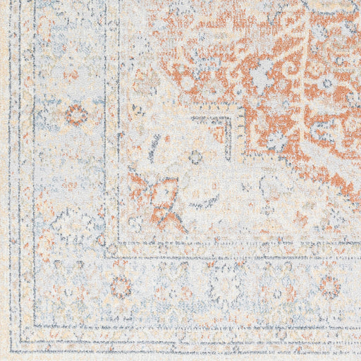 Surya Lillian LLL-2333 Gray Traditional  Rug
