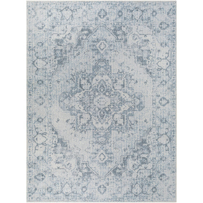 Surya Lillian LLL-2334 Oatmeal Traditional  Rug