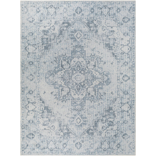 Surya Lillian LLL-2334 Oatmeal Traditional  Rug