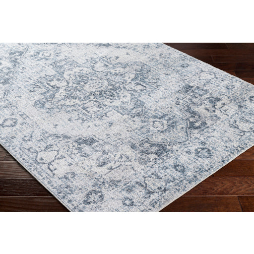 Surya Lillian LLL-2334 Oatmeal Traditional  Rug