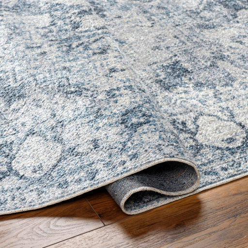 Surya Lillian LLL-2334 Oatmeal Traditional  Rug