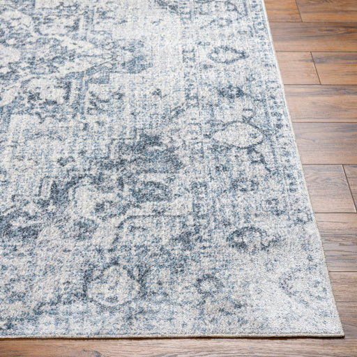 Surya Lillian LLL-2334 Oatmeal Traditional  Rug