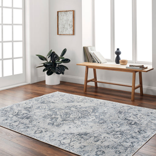 Surya Lillian LLL-2334 Oatmeal Traditional  Rug