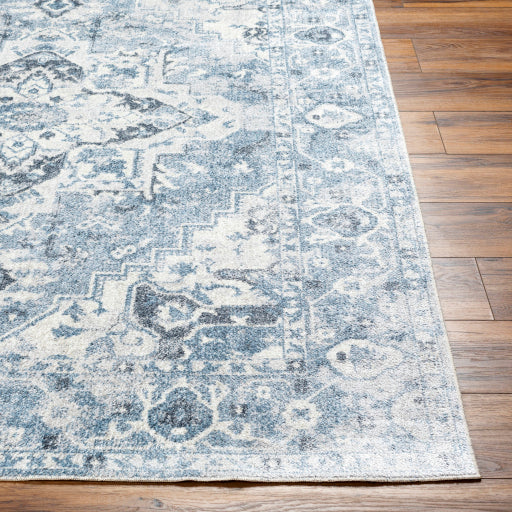 Surya Lillian LLL-2336 Gray Traditional  Rug