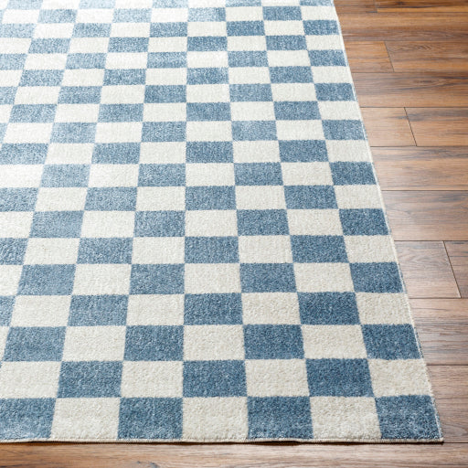 Surya Lillian LLL-2337 Oatmeal Modern  Rug