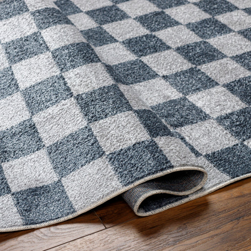 Surya Lillian LLL-2339 Gray Modern  Rug