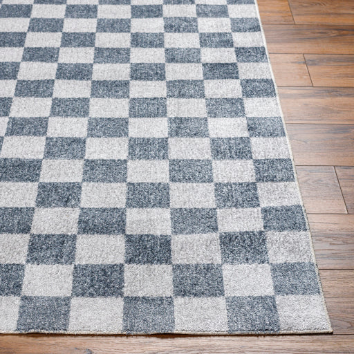 Surya Lillian LLL-2339 Gray Modern  Rug