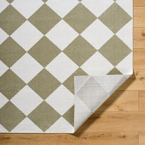 Surya Lillian LLL-2374 Off-White Modern  Rug