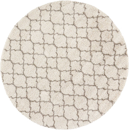 Nourison Home Amore AMOR2 Cream Contemporary Power-loomed Rug