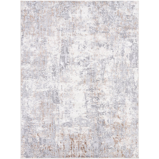 Surya Lustro LSR-2330 Light Gray Modern  Rug
