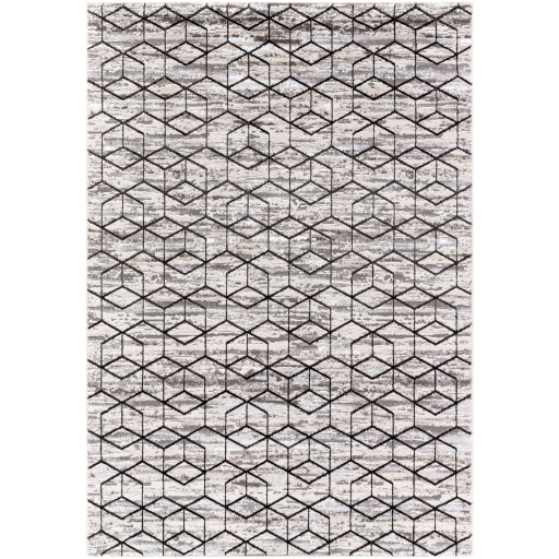 Surya Lustro LSR-2333 Gray Modern  Rug