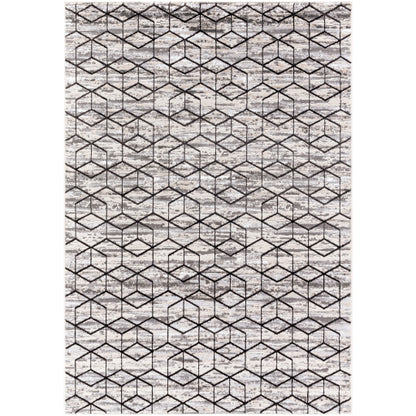 Surya Lustro LSR-2333 Gray Modern  Rug