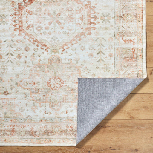 Surya Lavable LVB-2319  Traditional  Rug