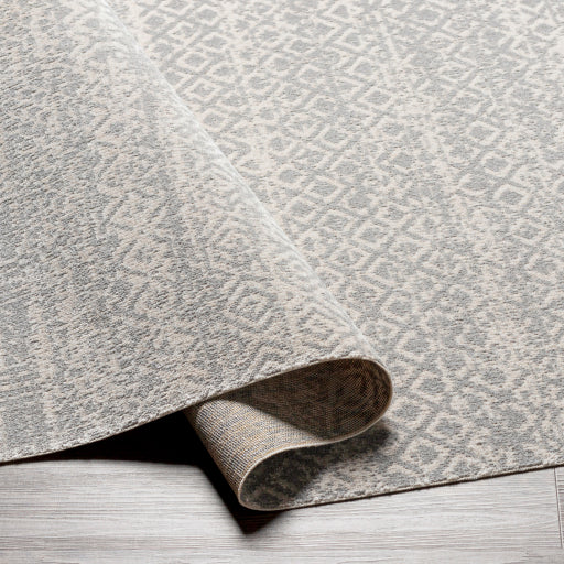 Surya Lavadora LVR-2319 Gray Global  Rug