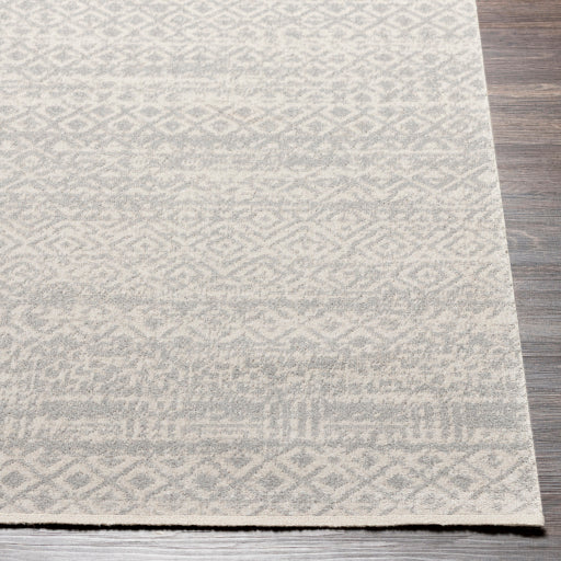 Surya Lavadora LVR-2319 Gray Global  Rug
