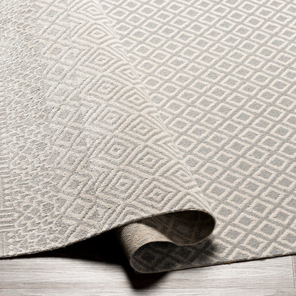 Surya Lavadora LVR-2321 Gray Global  Rug