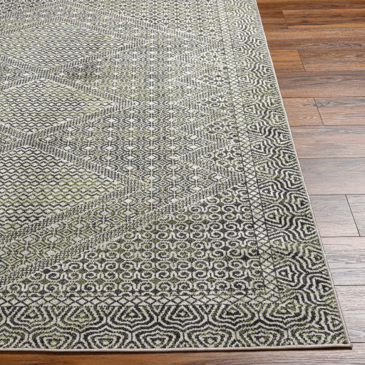 Surya Lavadora LVR-2328 Black Global  Rug