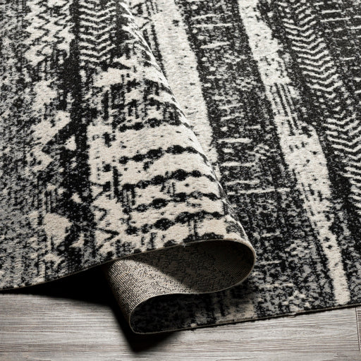 Surya Lavadora LVR-2330 Black Global  Rug