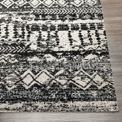 Surya Lavadora LVR-2330 Black Global  Rug