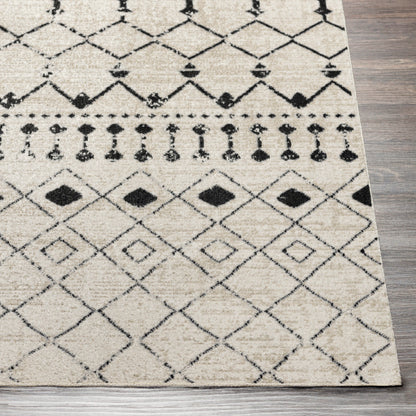 Surya Lavadora LVR-2336 Black Global  Rug