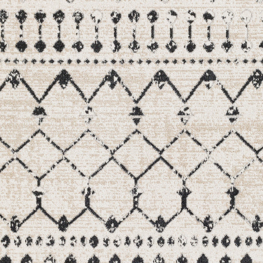 Surya Lavadora LVR-2336 Black Global  Rug