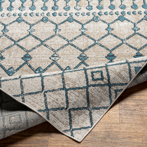 Surya Lavadora LVR-2340 Blue Global  Rug