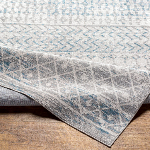 Surya Lavadora LVR-2343 Gray Global  Rug