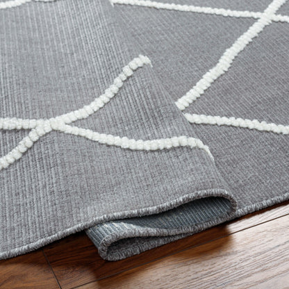Surya Lyna LYA-2304 Gray Global  Rug