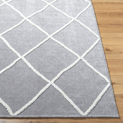 Surya Lyna LYA-2304 Gray Global  Rug