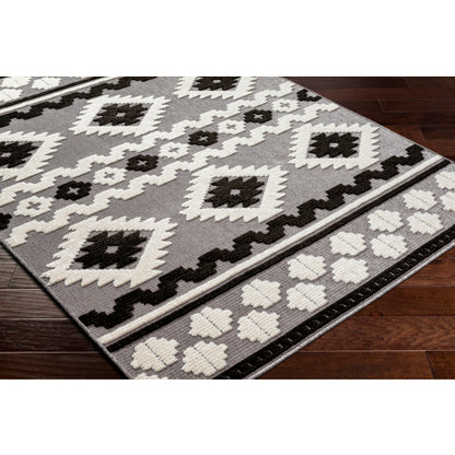 Surya Lyna LYA-2321 Gray Rustic  Rug